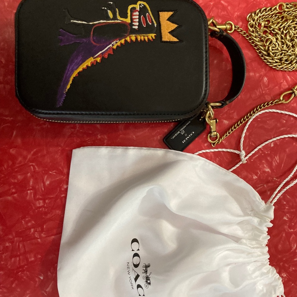 Coach Alie Camera bag Jean Michel Basquiat